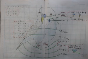 1208(15)