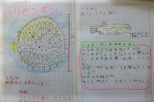 1209(26)