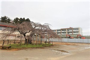 1222(2) 1222(2)