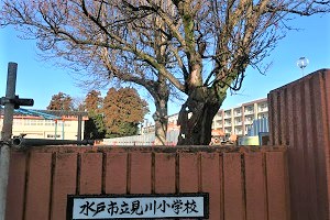 0117(1)