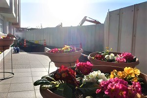 0117(12)