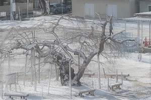 0125(2) 0125(2)