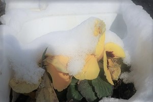 0125(6) 0125(6)
