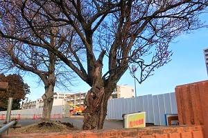 0203(1)