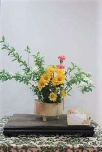 0207(2)