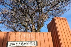 0215(1)