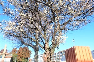 0220(1)
