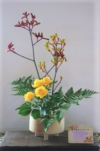 0228(2)