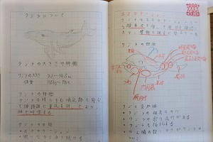 0301(17)