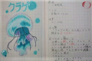 0303(15)