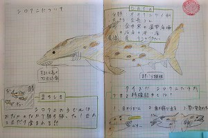 0303(26) 0303(26)