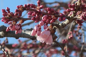 0316(10) 0316(10)
