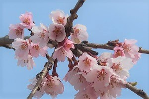0331(1)