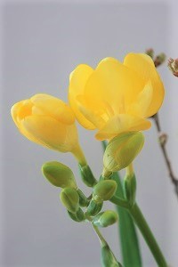 0406(1)