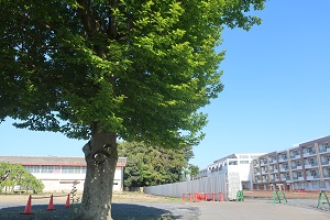 0419(3)