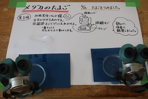 0426(3) 0426(3)
