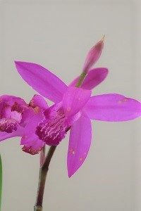 0510(1)