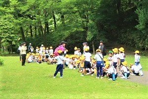0620(11)