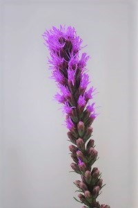 0704(1)