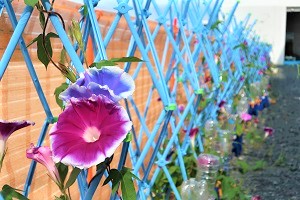 0705(1)