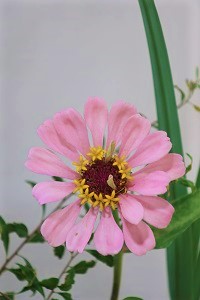 0829(1)