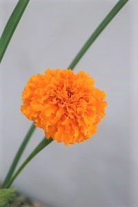 0829(3)