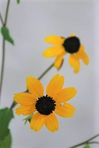 0906(3)