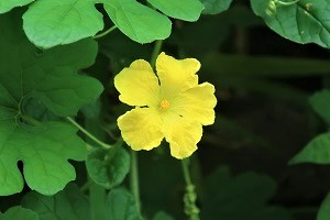 0906(6)