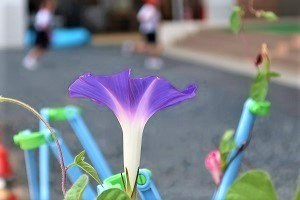 0906(9)