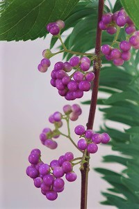 0912(1)