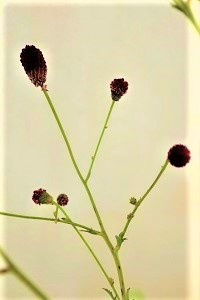 0919(1)