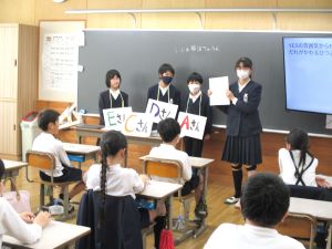 4no3 4no3
