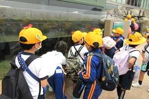 1102(4) 1102(4)