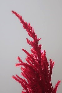 1108(1)