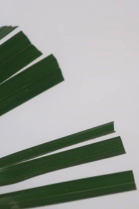 1108(3) 1108(3)