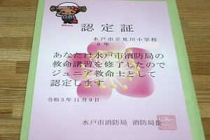 1109(14) 1109(14)