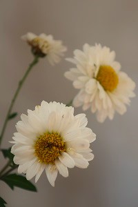 1120(3) 1120(3)