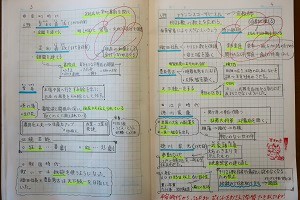 1206(13)