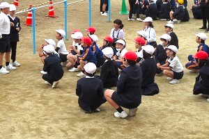 1219(13) 1219(13)