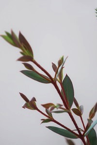 1220(1)