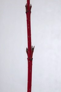 1220(2)