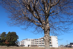 1221(3)