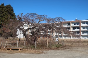 1221(5)