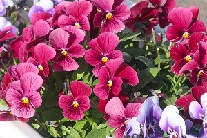 1221(9)