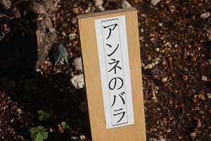 1221(8) 1221(8)