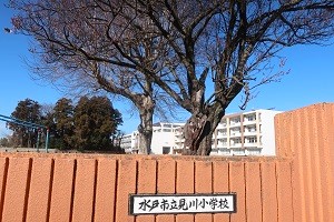 0110(4)