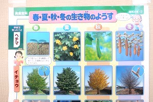0115(2) 0115(2)
