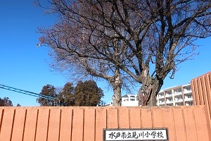 0115(1)