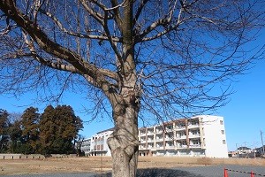0115(5)