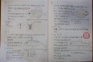 0122(17) 0122(17)